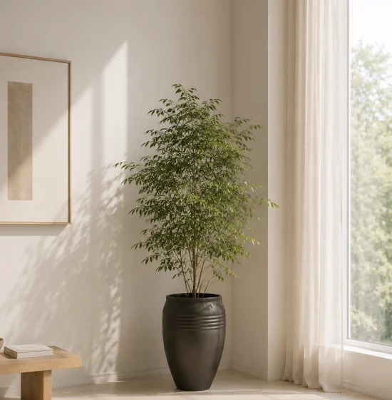 18_50_35 Minimal therapy room with a large indoor plant beside a window